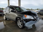 2010 Honda Cr-v Ex Gray vin: 5J6RE4H53AL083336