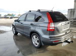 2010 Honda Cr-v Ex Gray vin: 5J6RE4H53AL083336