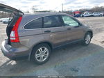 2010 Honda Cr-v Ex Dark Brown vin: 5J6RE4H55AL074363