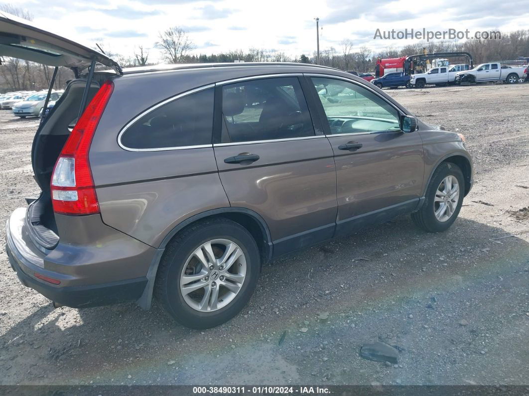 2010 Honda Cr-v Ex Dark Brown vin: 5J6RE4H55AL074363