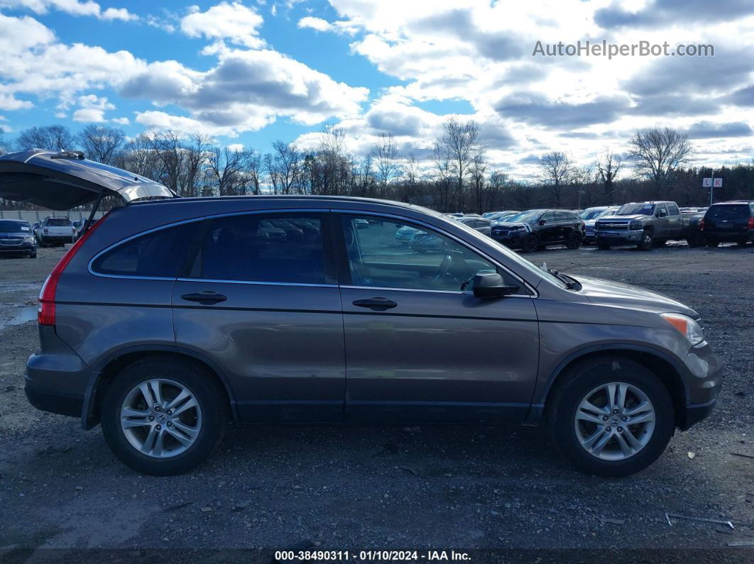 2010 Honda Cr-v Ex Dark Brown vin: 5J6RE4H55AL074363