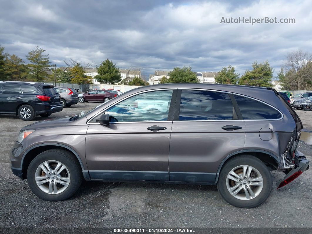 2010 Honda Cr-v Ex Dark Brown vin: 5J6RE4H55AL074363