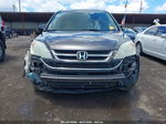 2010 Honda Cr-v Ex Коричневый vin: 5J6RE4H55AL079305