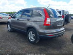 2010 Honda Cr-v Ex Brown vin: 5J6RE4H55AL079305