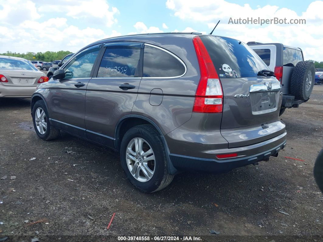 2010 Honda Cr-v Ex Коричневый vin: 5J6RE4H55AL079305