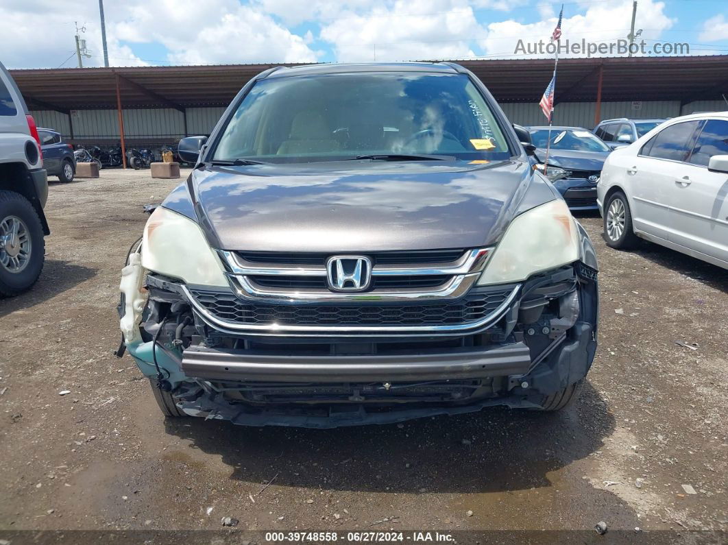 2010 Honda Cr-v Ex Коричневый vin: 5J6RE4H55AL079305