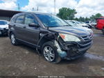 2010 Honda Cr-v Ex Коричневый vin: 5J6RE4H55AL079305