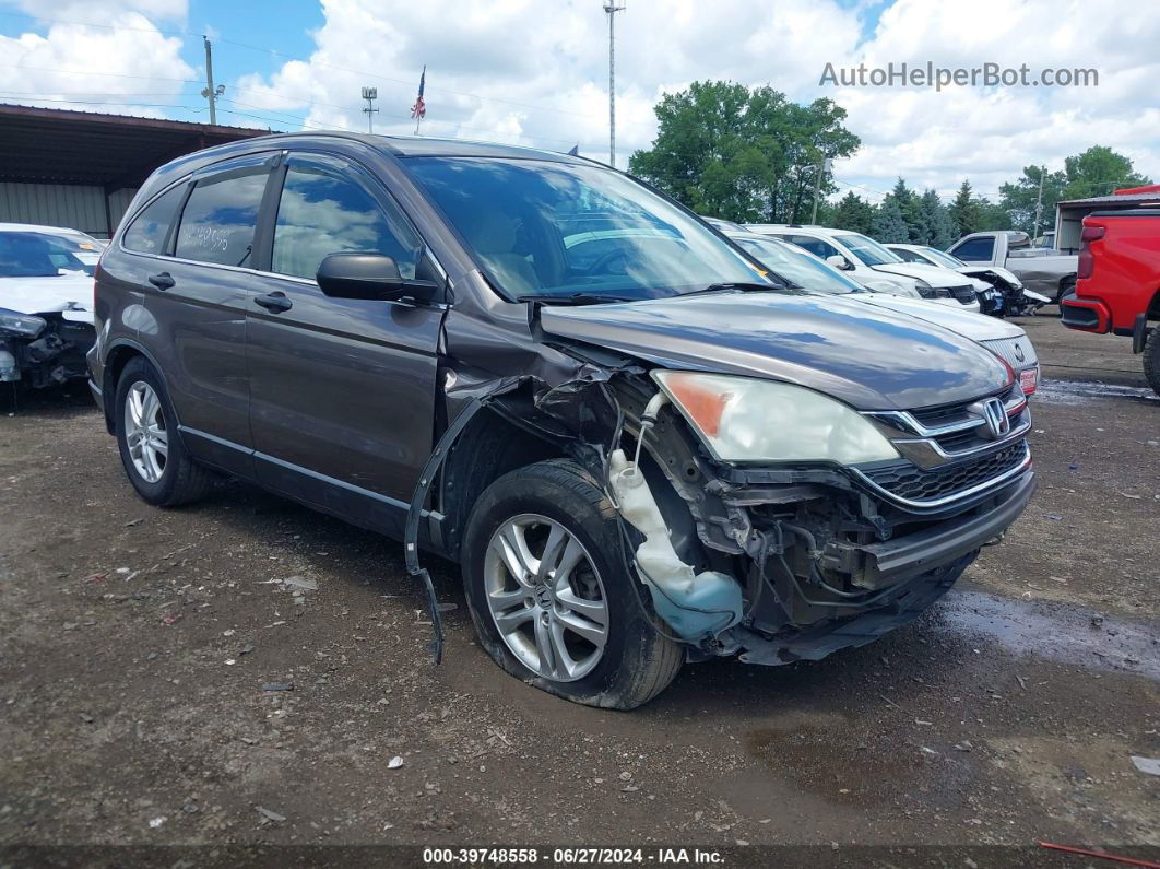 2010 Honda Cr-v Ex Brown vin: 5J6RE4H55AL079305