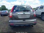 2010 Honda Cr-v Ex Brown vin: 5J6RE4H55AL079305