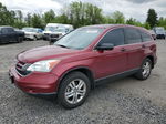 2010 Honda Cr-v Ex Maroon vin: 5J6RE4H57AL046161