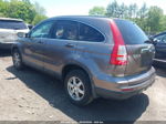 2010 Honda Cr-v Ex Gray vin: 5J6RE4H57AL061176