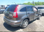 2010 Honda Cr-v Ex Gray vin: 5J6RE4H57AL061176