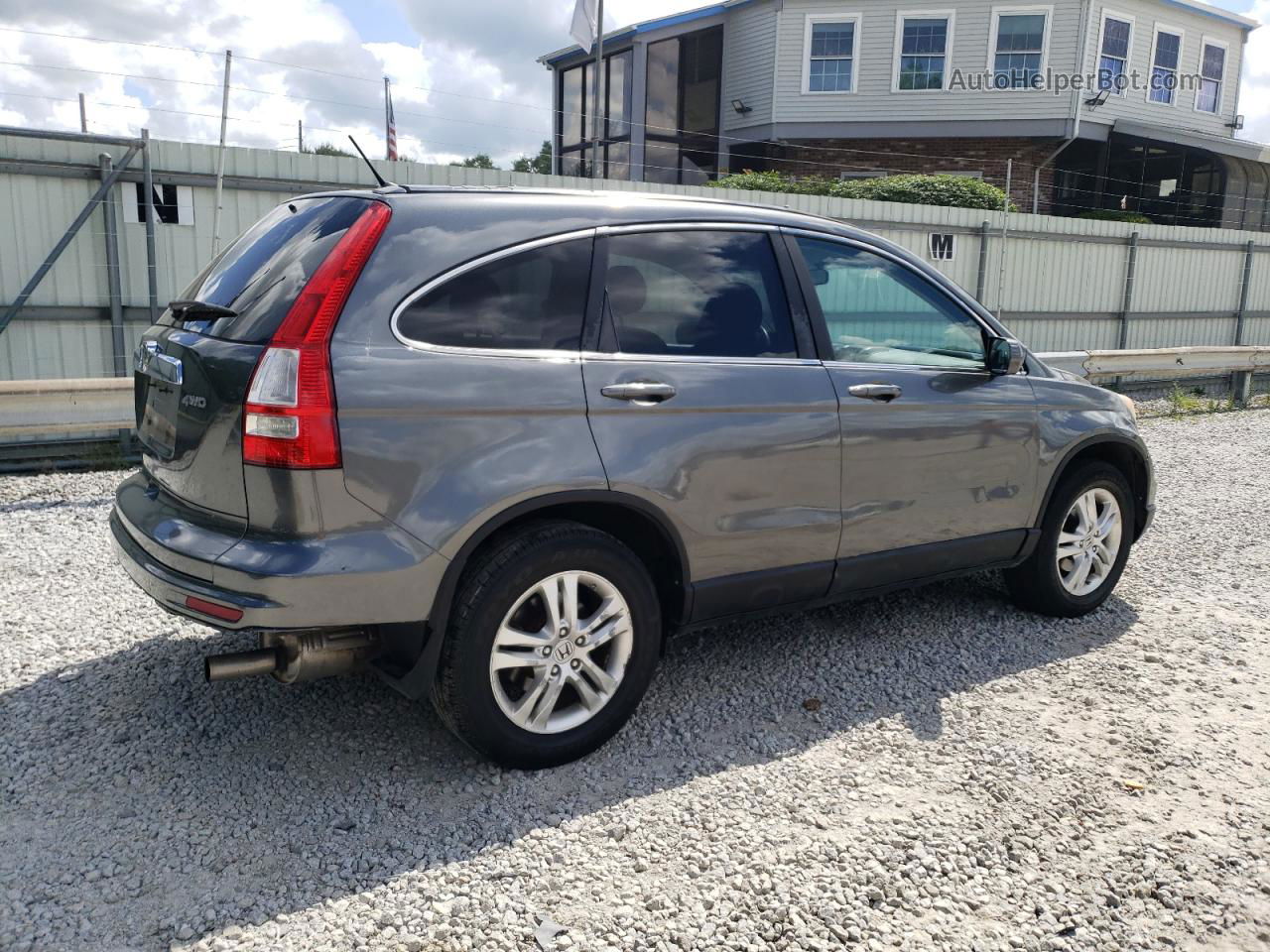 2010 Honda Cr-v Ex Gray vin: 5J6RE4H58AL094624