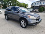 2010 Honda Cr-v Ex Gray vin: 5J6RE4H58AL094624