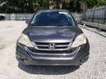 2010 Honda Cr-v Ex Gray vin: 5J6RE4H58AL094624