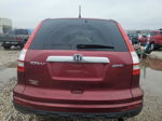 2010 Honda Cr-v Ex Red vin: 5J6RE4H59AL016661