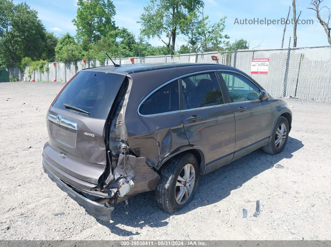 2010 Honda Cr-v Ex Brown vin: 5J6RE4H59AL026221