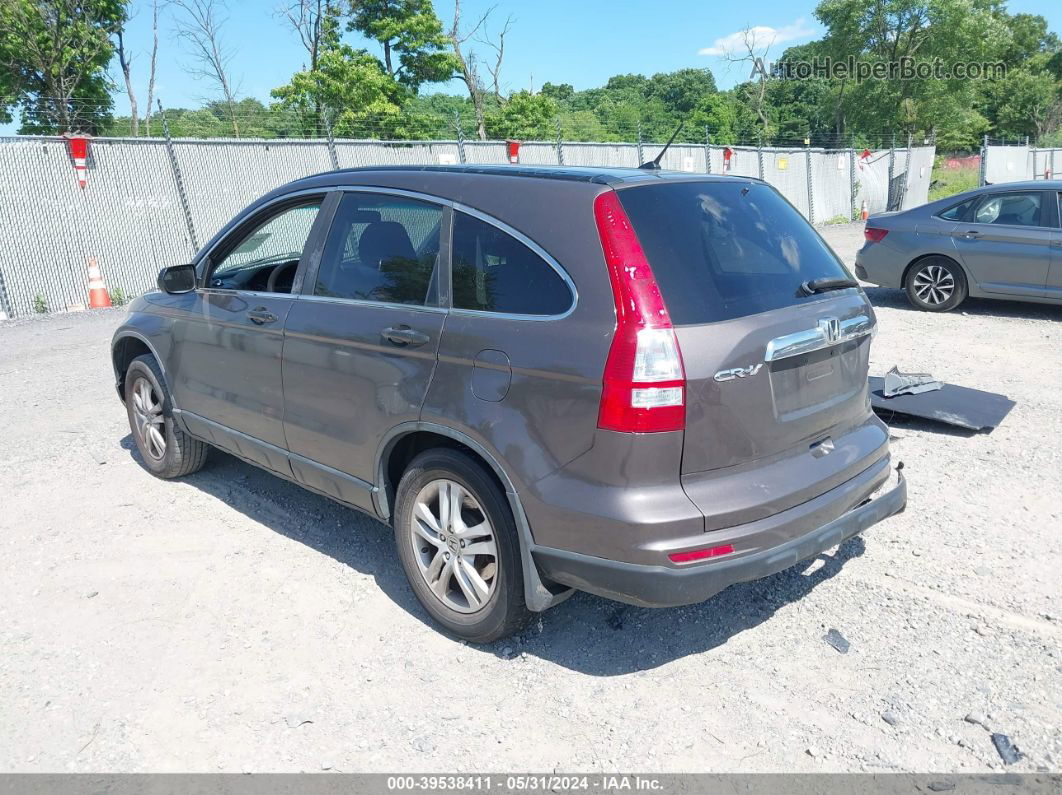 2010 Honda Cr-v Ex Brown vin: 5J6RE4H59AL026221