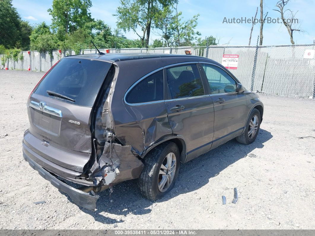 2010 Honda Cr-v Ex Brown vin: 5J6RE4H59AL026221