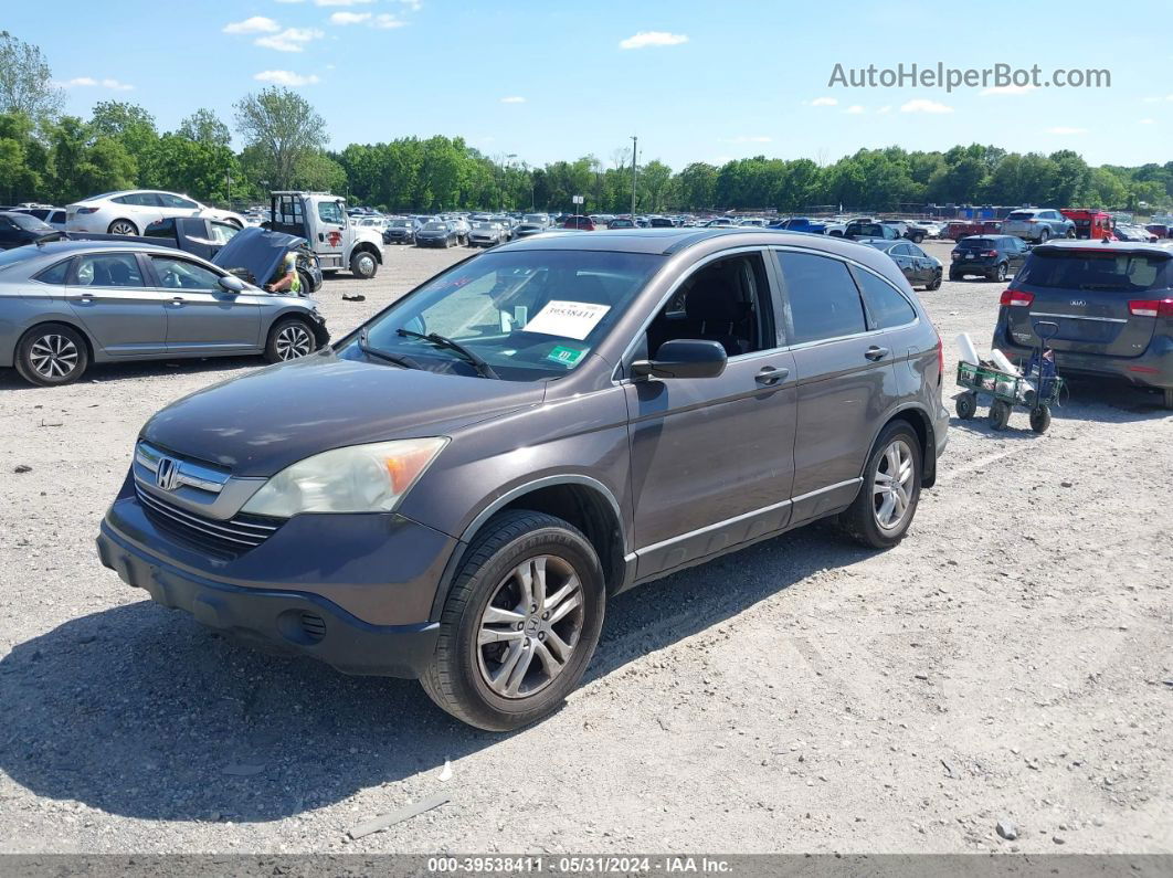 2010 Honda Cr-v Ex Brown vin: 5J6RE4H59AL026221