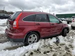 2010 Honda Cr-v Ex Красный vin: 5J6RE4H59AL035159