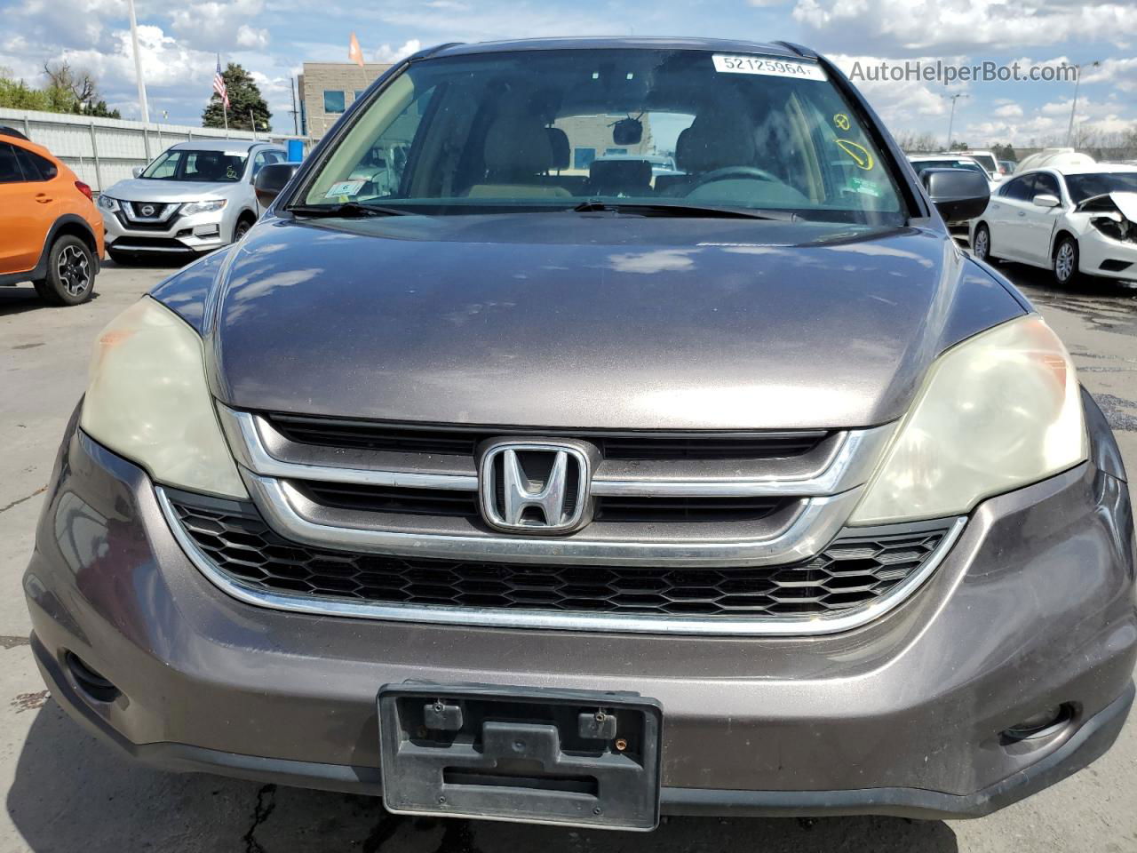 2010 Honda Cr-v Ex Коричневый vin: 5J6RE4H59AL090193