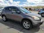 2010 Honda Cr-v Ex Brown vin: 5J6RE4H59AL090193