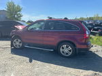 2010 Honda Cr-v Ex Red vin: 5J6RE4H59AL803173