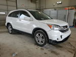 2010 Honda Cr-v Exl White vin: 5J6RE4H70AL011186