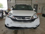 2010 Honda Cr-v Exl White vin: 5J6RE4H70AL011186