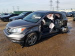 2010 Honda Cr-v Exl Gray vin: 5J6RE4H70AL019871