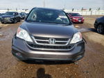 2010 Honda Cr-v Exl Gray vin: 5J6RE4H70AL019871