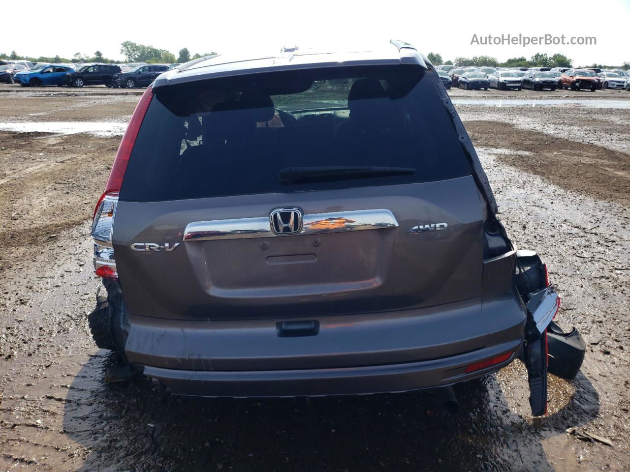 2010 Honda Cr-v Exl Gray vin: 5J6RE4H70AL019871