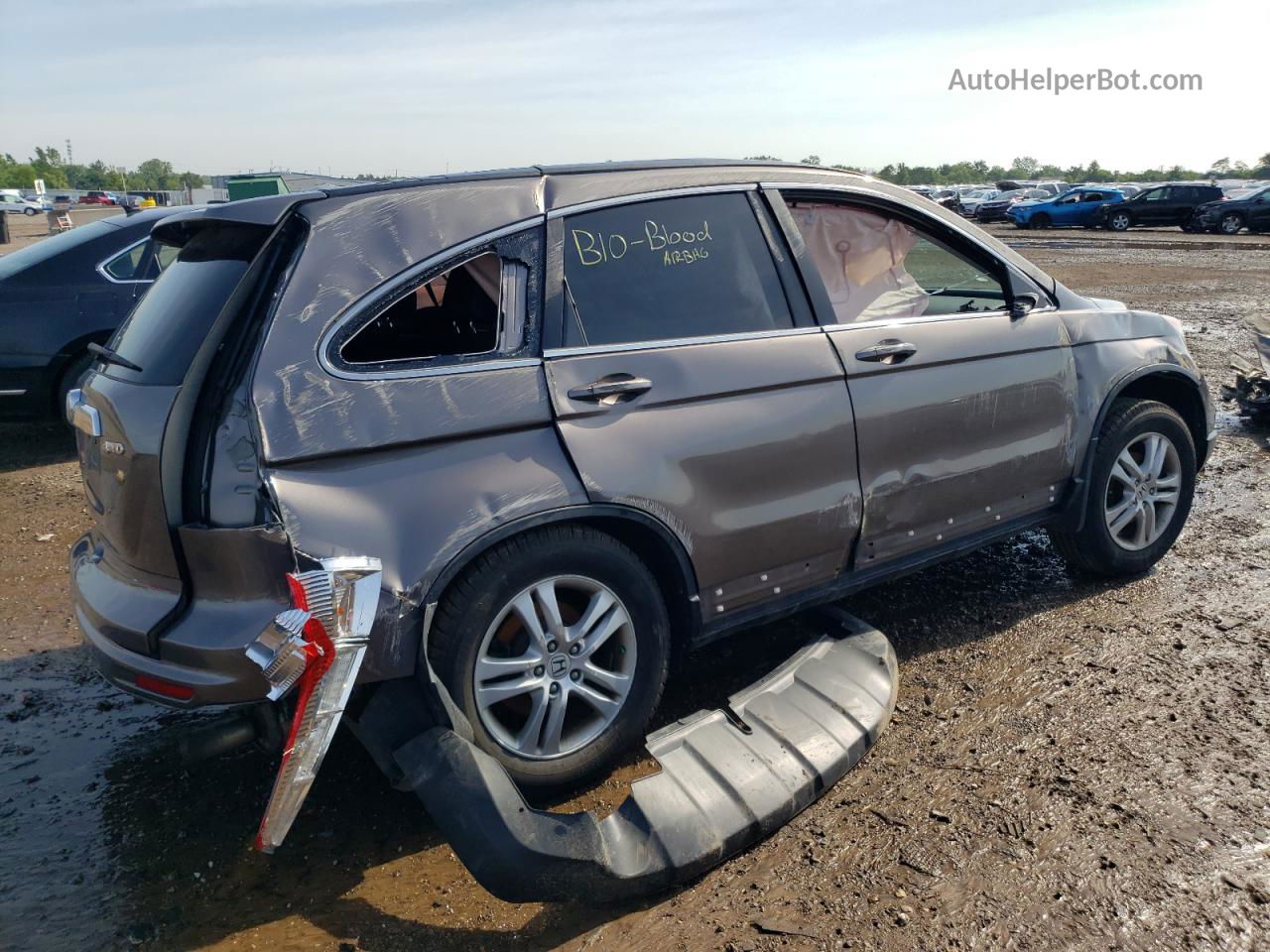 2010 Honda Cr-v Exl Gray vin: 5J6RE4H70AL019871