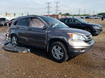 2010 Honda Cr-v Exl Gray vin: 5J6RE4H70AL019871