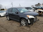 2010 Honda Cr-v Exl Black vin: 5J6RE4H70AL060369