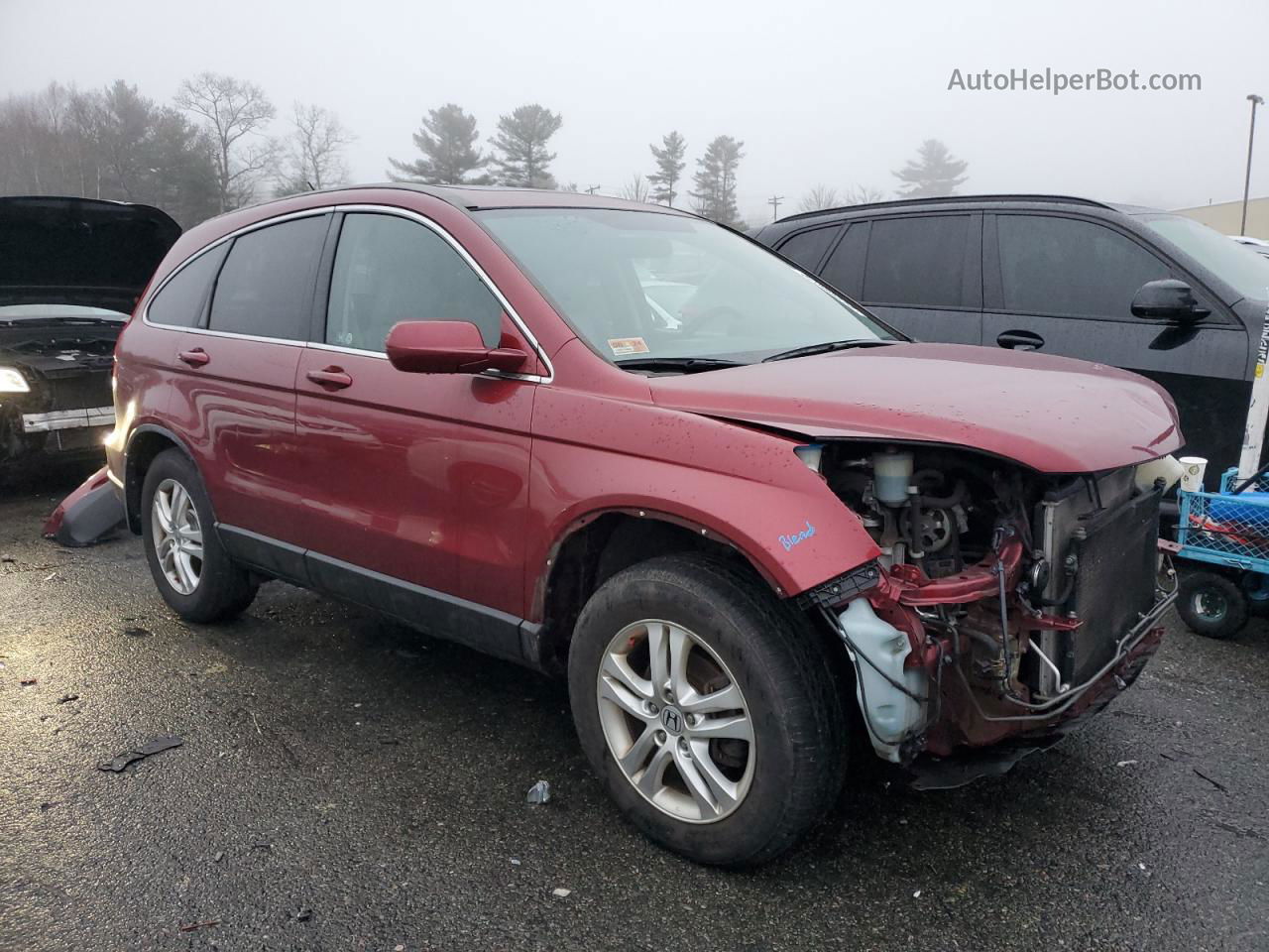 2010 Honda Cr-v Exl Brown vin: 5J6RE4H71AL039482