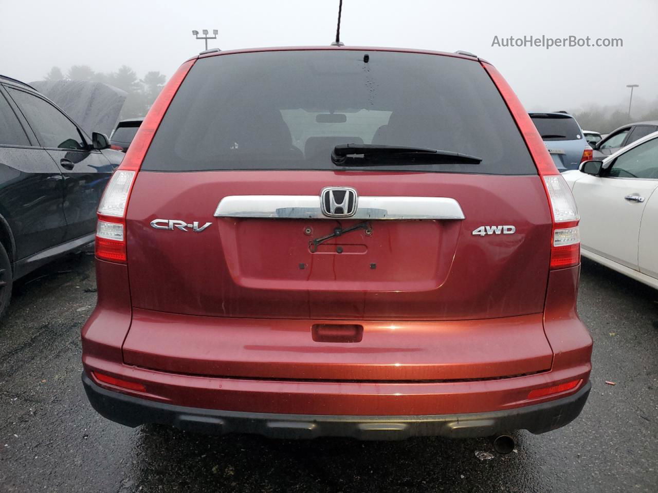 2010 Honda Cr-v Exl Brown vin: 5J6RE4H71AL039482