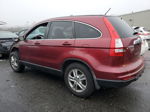 2010 Honda Cr-v Exl Brown vin: 5J6RE4H71AL039482