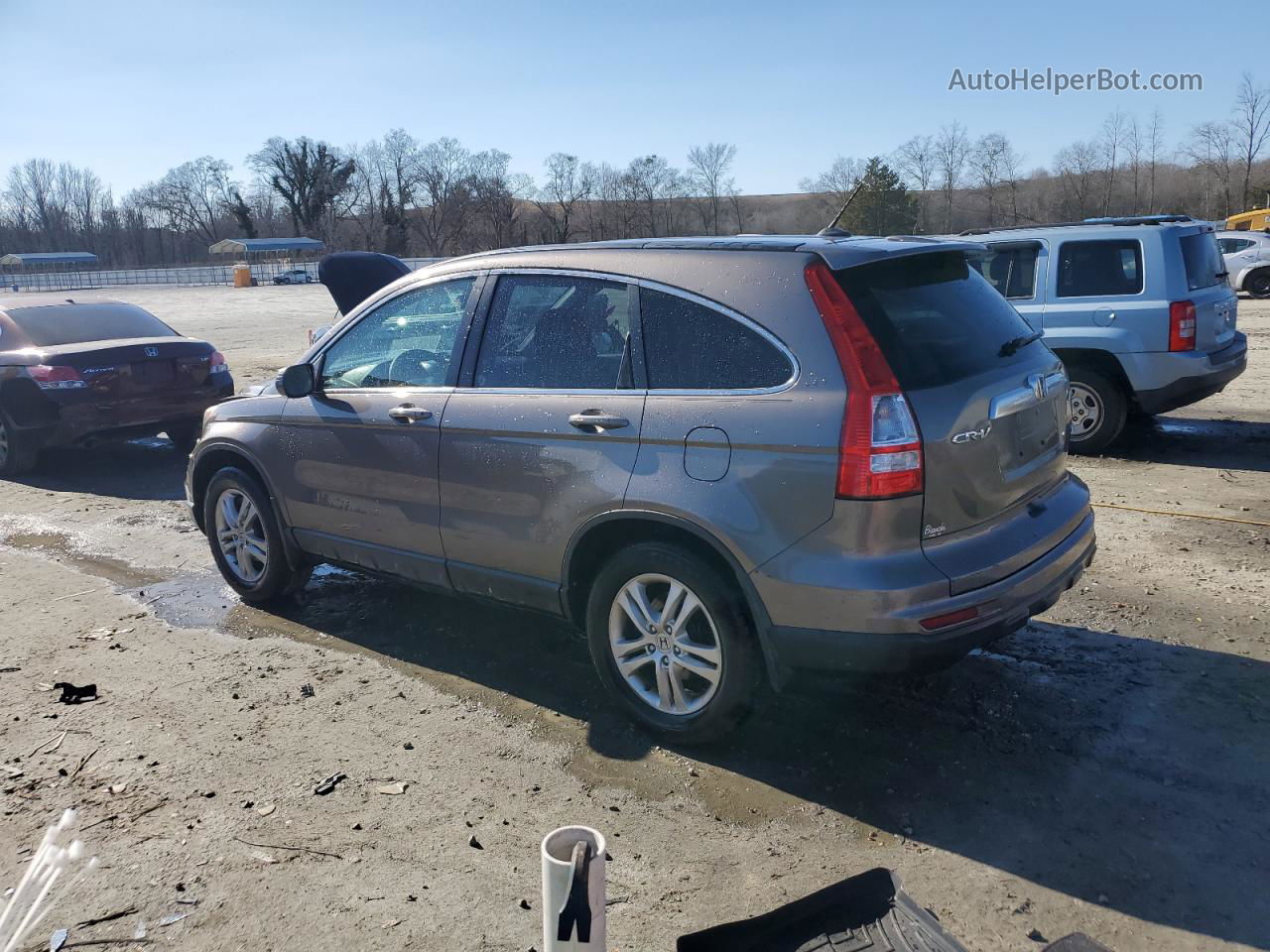 2010 Honda Cr-v Exl Charcoal vin: 5J6RE4H71AL044116