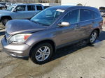 2010 Honda Cr-v Exl Угольный vin: 5J6RE4H71AL044116