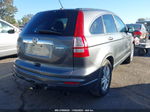 2010 Honda Cr-v Ex-l Gray vin: 5J6RE4H71AL078315