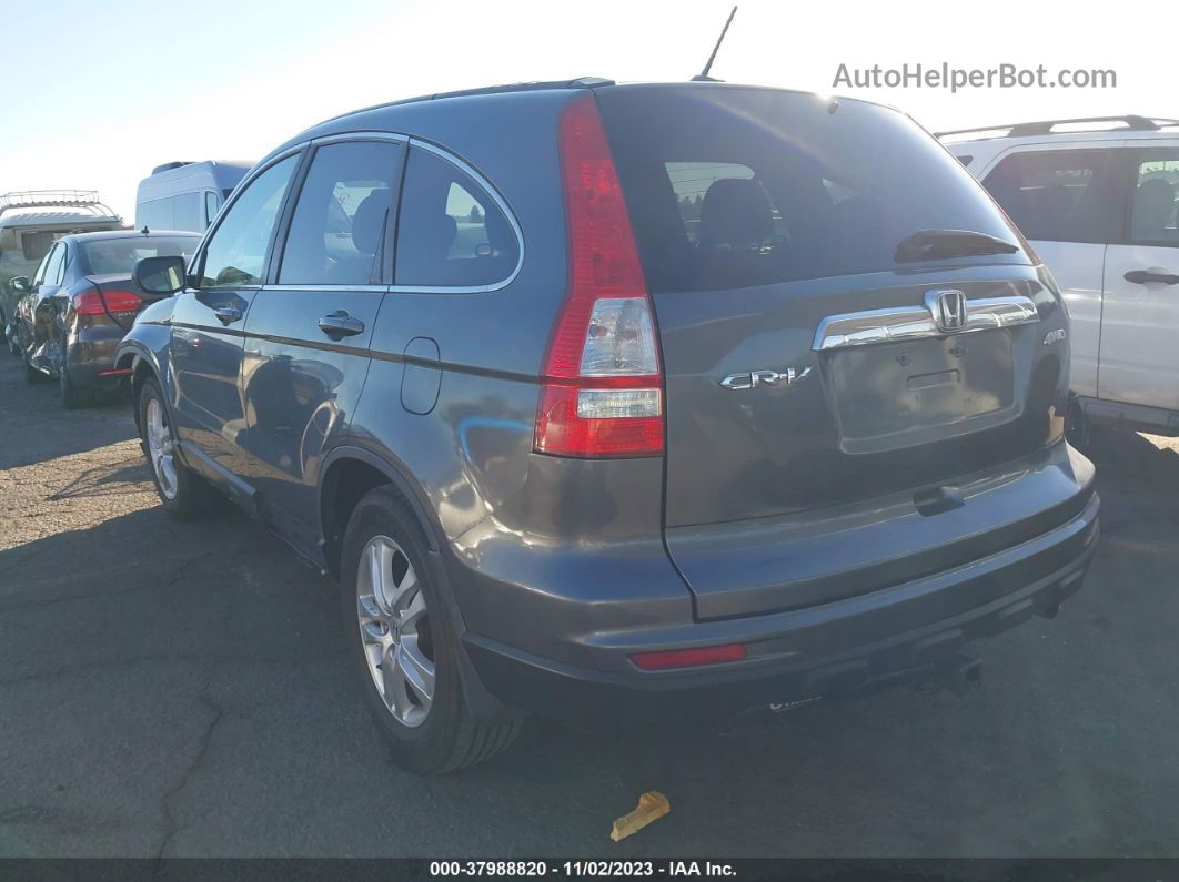 2010 Honda Cr-v Ex-l Gray vin: 5J6RE4H71AL078315