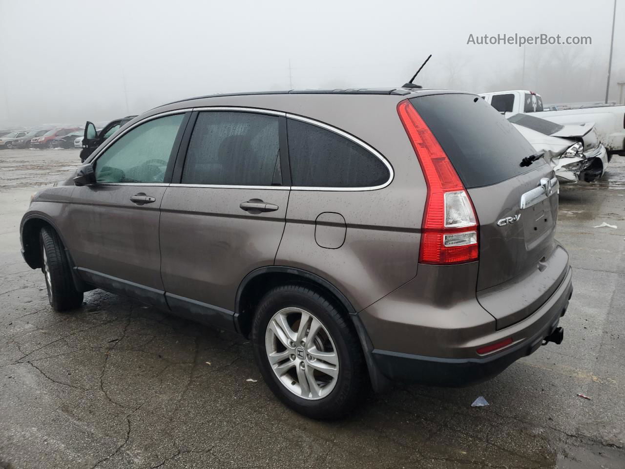 2010 Honda Cr-v Exl Brown vin: 5J6RE4H71AL095390