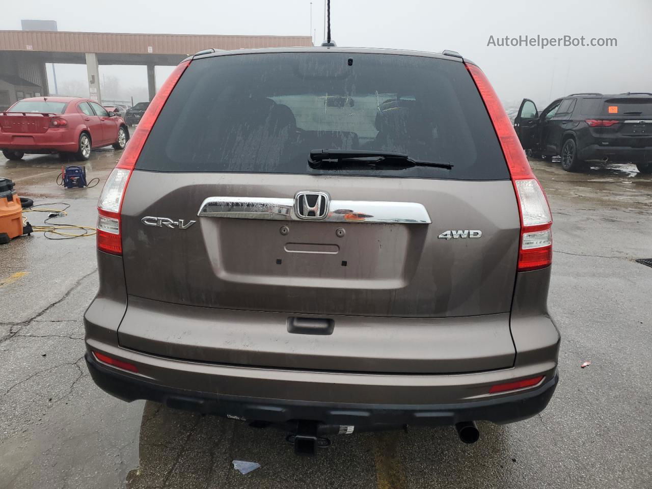 2010 Honda Cr-v Exl Brown vin: 5J6RE4H71AL095390