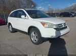 2010 Honda Cr-v Ex-l White vin: 5J6RE4H72AL025803