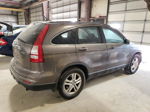 2010 Honda Cr-v Exl Brown vin: 5J6RE4H72AL057974