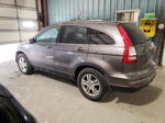 2010 Honda Cr-v Exl Brown vin: 5J6RE4H72AL057974