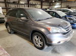 2010 Honda Cr-v Exl Brown vin: 5J6RE4H72AL057974