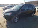 2010 Honda Cr-v Exl Black vin: 5J6RE4H72AL058364